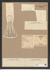 Arachnodiscus ornatus Ehr. (de-Toni-Nr.: Genus 204, Species 5209) Zeichnungen Sammlung Grunow Nr. 8990 (NHMW-BOT-W0378690)